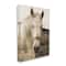 Stupell Industries Rustic Sepia tone Portrait of White Horse Canvas Wall Art